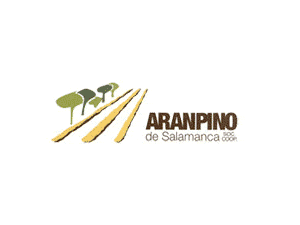 Aranpino logo