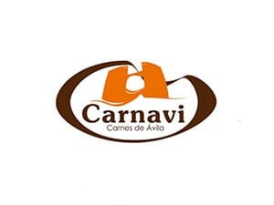Carnavi logo