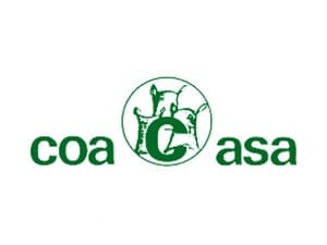 Coacasa logo