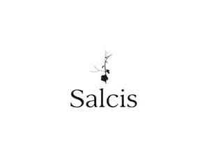 Salcis logo