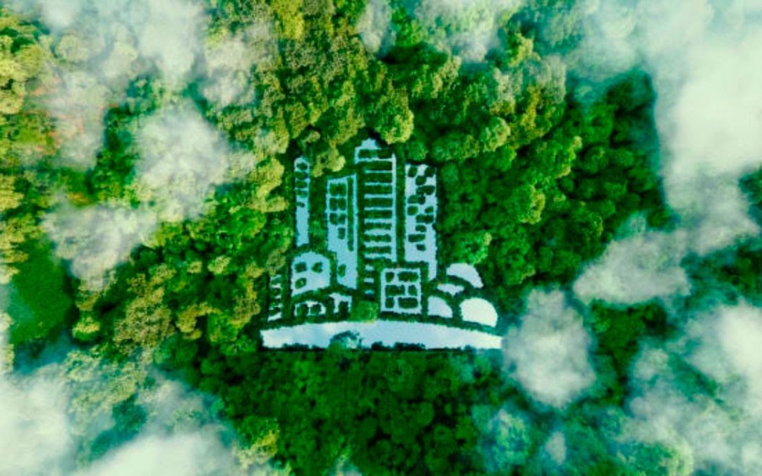Ciudad Sostenible: Urbanismo y medio ambiente
